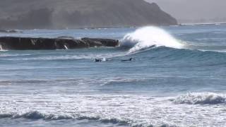 preview picture of video 'Surfer with dolphins - Tawharanui, New Zealand'