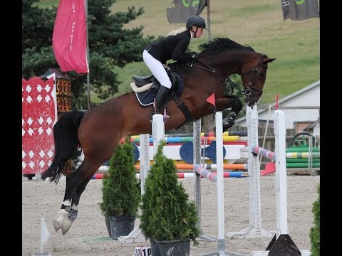 SOLD - Calamia - *2009, mare by Callado, www.salesporthorses.com