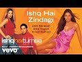 Ishq Hai Zindagi Best Audio Song Ishq Hai Tumse Bipasha Basu Udit Narayan Alka Yagnik