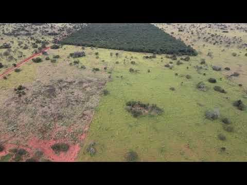 Fazenda 49ha - Paineiras MG