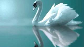 Swan Lake Ballet (Tchaikovsky) -Act I: IX. Finale (Andante)