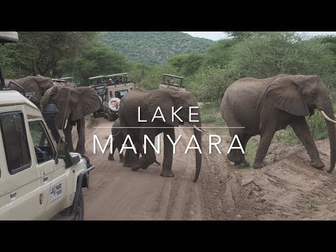 Lake Manyara National Park
