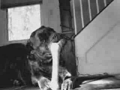 All that Meat and No Potatos