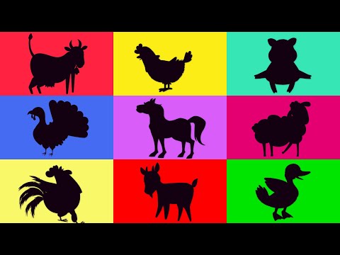 Zwierzęta na wsi i na łące | Zagadki dla dzieci | Film edukacyjny dla dzieci | Zgadywanki TV