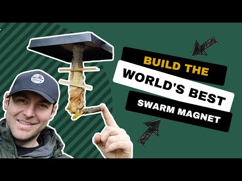 Build The Worlds Best Swarm Magnet - How A Russian Scion Helps You Catch More Swarms