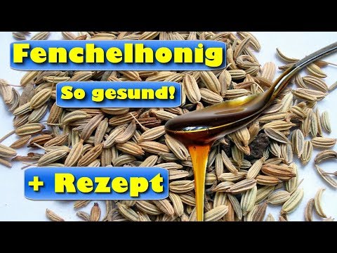 Fenchelhonig – gesund und nicht nur ein natürlicher Hustensaft für Kinder - mit Rezept