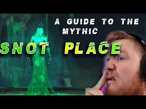 PLAGUEFALL - Mythic Dungeon Boss Strategy Guide Shadowlands WoW Beta