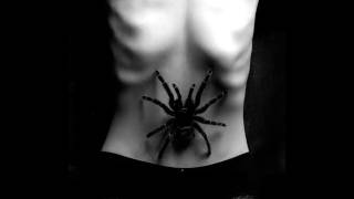 Faithless - Tarantula (Booka Shade Remix)