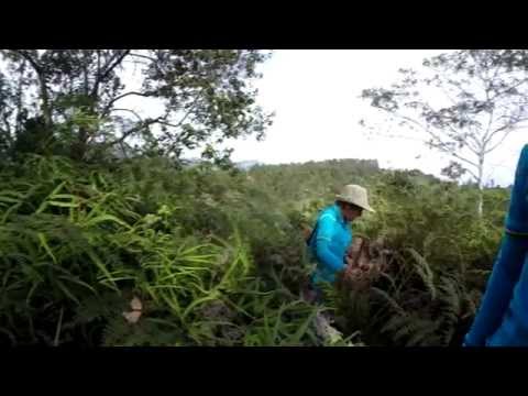 Descubriendo Caminos - El Chocho