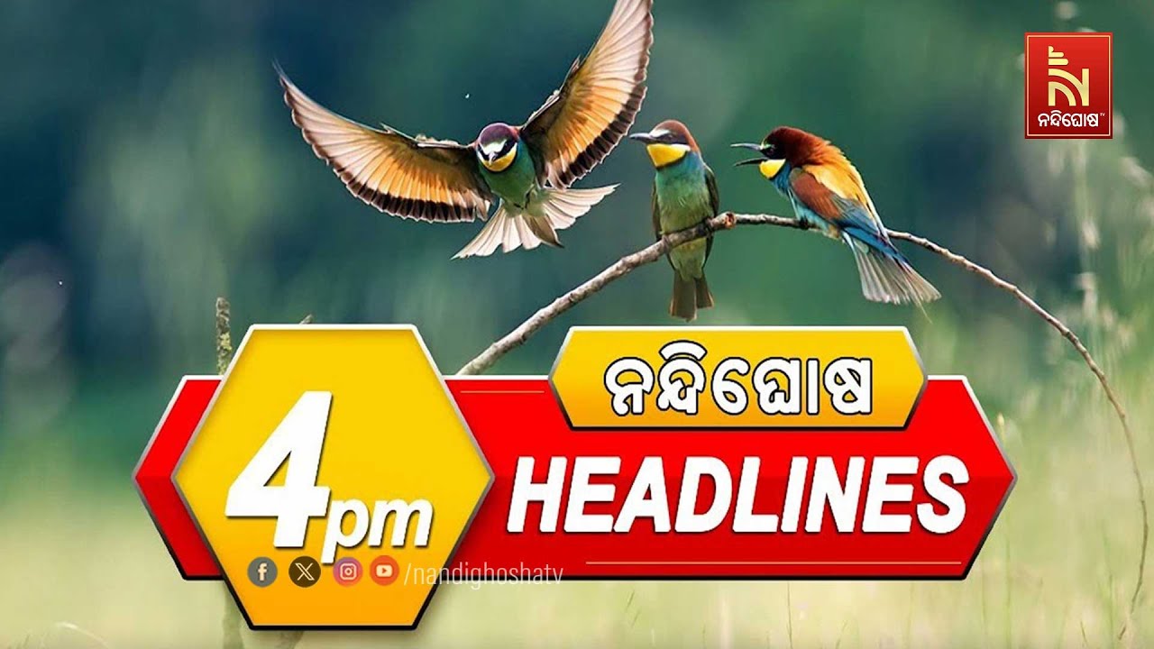 Headlines@4PM | 11th January 2026 | NandighoshaTV
