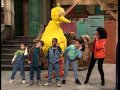 That S My Number Big Bird Gets Lost Sesame Street Kids Guide To Life