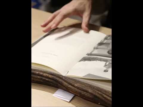 O EVANGELHO SEGUNDO SEBASTIÃO MOTA _ Santo Daime #padrinhosebastião  #livrosdosantodaime