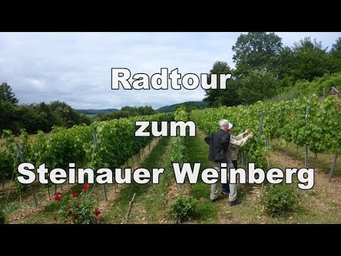 Radtouren um Schlüchtern 56: Zum Steinauer Weinberg