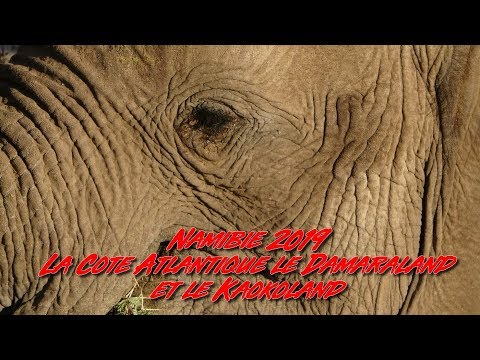 Namibie 2019 - La Côte Atlantique, le Damaraland et le Kaokoland