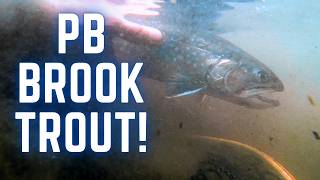 My First BIG Brook Trout on the Fly