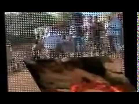 download lagu mp3 mp4 Ekinciler Evden Eve Nakliyat, download lagu Ekinciler Evden Eve Nakliyat gratis, unduh video klip Ekinciler Evden Eve Nakliyat