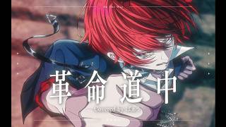 革命道中／ばぁう【歌ってみた】