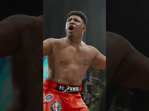 PERFECT KO RECORD! 7-0 with 7 first round KO'S!