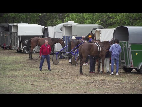 2022.08.21. Ada visszarajzolta magát a lóversenytérképre