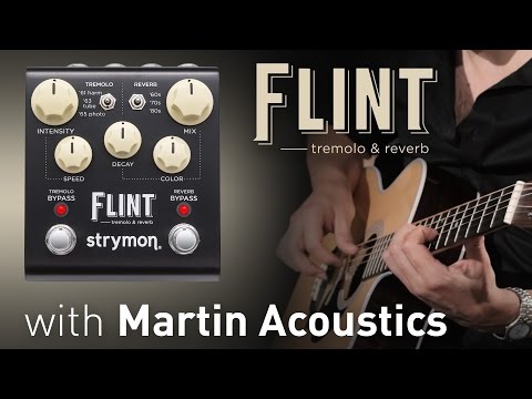 Strymon Flint Tremolo & Reverb w/ Martin Acoustics