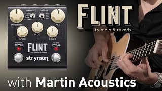 Strymon Flint Tremolo & Reverb w/ Martin Acoustics