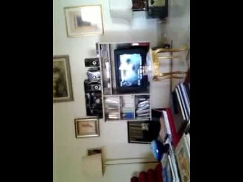 MAMIMISS KITA,,,,,SONG OF LULU FE........