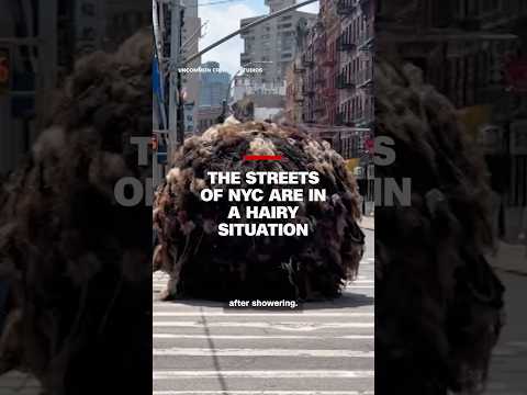 The streets of NYC are in a hairy situation