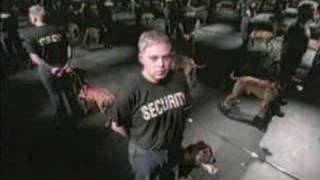 Bettie Serveert - Rudder