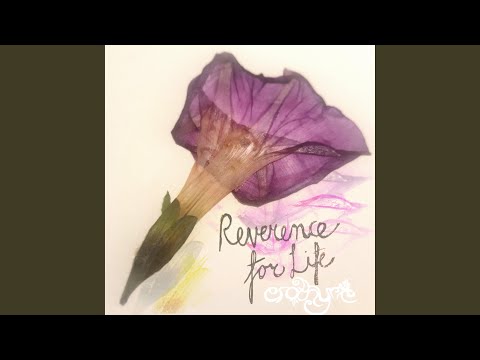 All You Seek (feat. Entheo & Friends)