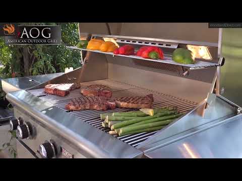 American Outdoor Grill 24 T- Series In-Ground Post Gas Grill