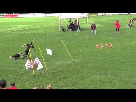 LM THS HSVRM 2014 CSC VdH Hettenrodt Darryl, Daniel, Mark - Finale