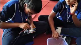 Roseland School Video