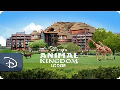 image-How long is shuttle from Animal Kingdom Lodge to Magic Kingdom?