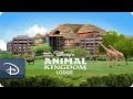 Disney S Animal Kingdom Lodge Walt Disney World