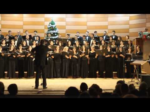 Niste soapte, intr-o noapte - Corul Bisericii Adventiste Craiova