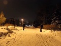 близнецы тройняшки 