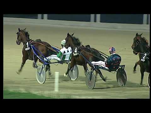 Napoli Trotto 31/10/2021 - 6ª corsa