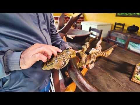 Conheça o município de Arapeí