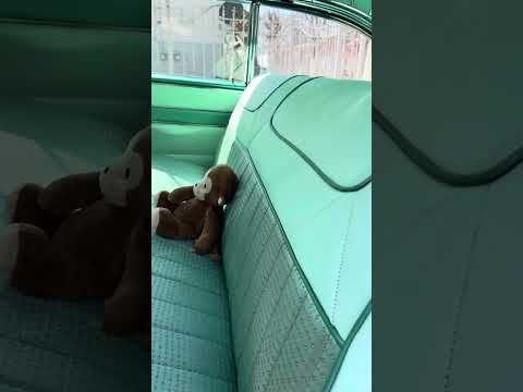 1956 Buick Roadmaster (CC-1927830) for sale in Hillside , New Jersey