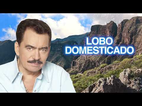 Videoclip de Lobo Domesticado — Joan Sebastian