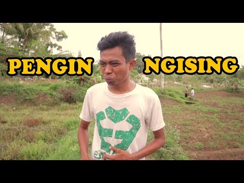 konci-51-komedi-ngapak-cilacap-pengin-ngising