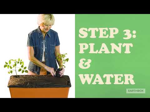 EarthBox Growing System