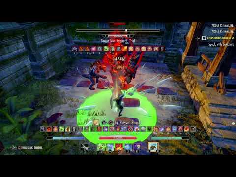 Magicka Warden PvE 85k Greymoor - Easy static rotation on PS4 EU