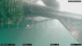 Speedboat [Aft, Hull, Bow Thrusters] | Underwater Inspection with ROV @ Marina