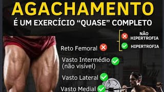 TREINO DE AGACHAMENTO EM SÃO PAULO 