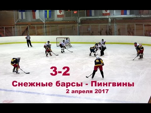 Снежные барсы 2003 - Пингвины 2003 ОПМ 2016/2017