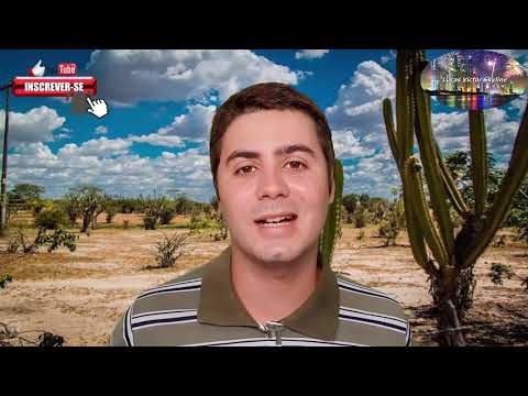 Sertão Nordestino - Características e principais cidades