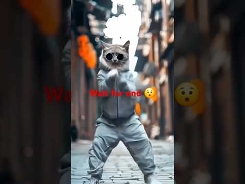 Best cat dance #Pushpa2TheRule #AlluArjun #Sukumar #Pushpa2TheRule #Pushpa2TheRuleTrailer #P shorts