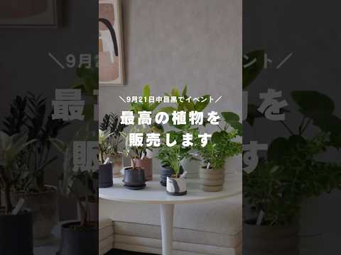 黒くなった植物の対処法は？美しい緑の葉を作るための4つの解決策!  庭園