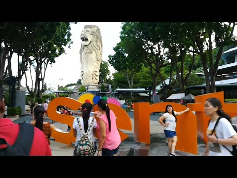 12 BEST Things To Do In Sentosa Island Singapore.